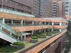 -香港大学