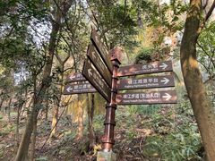 -铁山坪森林公园