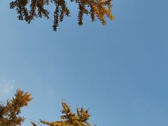 -北寺塔