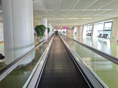 -郑州新郑国际机场-T2航站楼