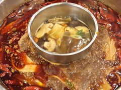 -金鼎雪山牦牛杂火锅(理县总店)