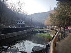 -白水寺森林公园