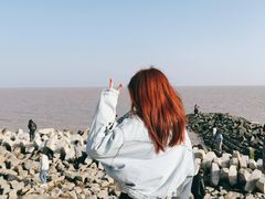 -南汇嘴观海公园