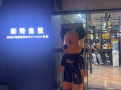 点击看大图 -藤野造型