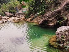 -南海湾森林生态园