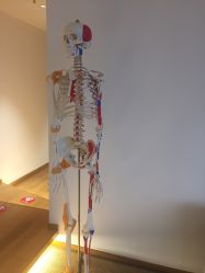 -松和日式美容整骨