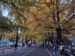 -四川大学(华西校区)