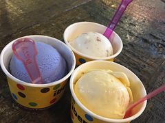 -莓园冰淇淋店