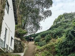 -西湖风景区十里琅珰-五云山