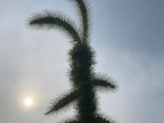 -天津东丽湖风景区