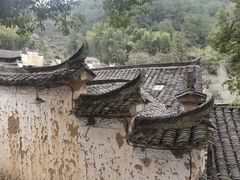 -杨家堂村