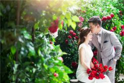 点击看大图 -韩国艺匠ARTIZ STUDIO(博览中心店)