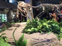 -自贡恐龙博物馆