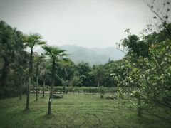 -雅安楠水阁温泉酒店