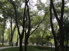 -玲珑塔公园