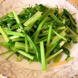 夏天到了，多吃芹菜有益身体健康哦~