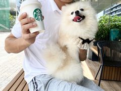 -星巴克(珠海仁恒滨海中心店)
