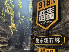 -梭布垭石林景区