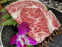 -黑牛の場烤肉(摩天活力城店)