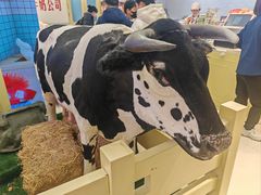 -红星前进面包牛奶公司(君太店)