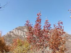 -白水寺森林公园