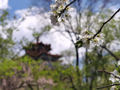 -北山公园