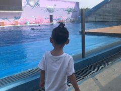 -北戴河圣蓝海洋公园