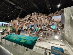 -国家自然博物馆