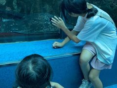 -乐从天佑城海洋馆