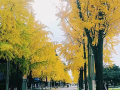 -四川大学(望江校区)