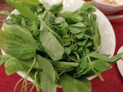 豌豆尖-山城年华老火锅(玉林店)