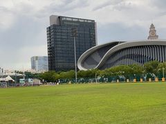 -黄龙魔方运动培训·棒球·橄榄球