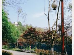 -重庆彩云湖湿地公园
