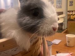 -大象厨房(重庆道店)