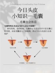 -木北造型