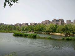 -前关湿地公园