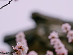 -颐和园