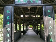 -南汇桃花村