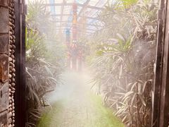 -呀路古热带植物园