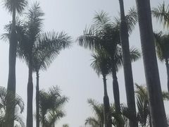 -厦门园林博览苑