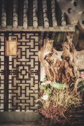 -DC大蔡婚礼策划(李公堤店)