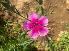 iphone_upload_pic-永定河休闲森林公园