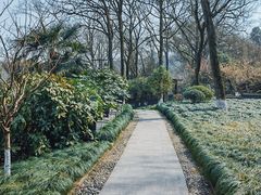 -杭州花家山庄