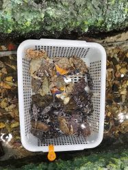 -钓虾工场·钓虾·赶海(回龙观店)