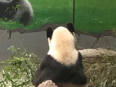 -临沂动植物园