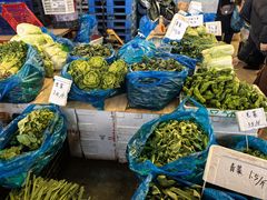 -上海龙吴水胜海发市场