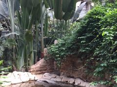 -龙达温泉生态城