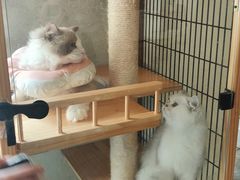 -时间逆·烘焙