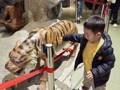 -房山世界地质公园博物馆