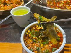 -小饕荟雅安贡椒鱼鲜馆(广福桥店)